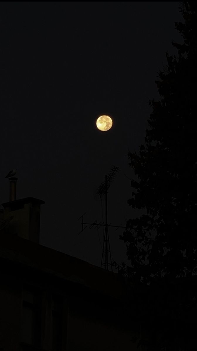 the full moon is shining brightly in the dark night sky over some houses and trees