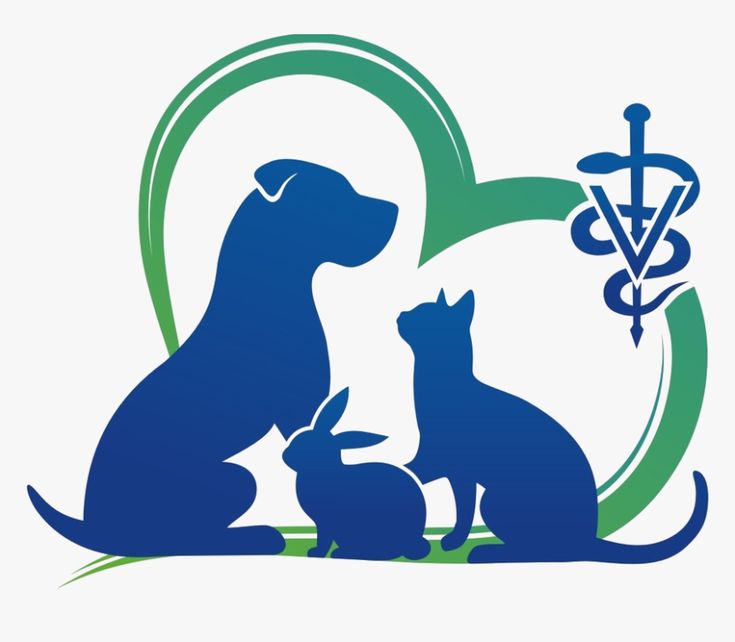 two dogs and a cat sitting next to each other in front of a medical symbol