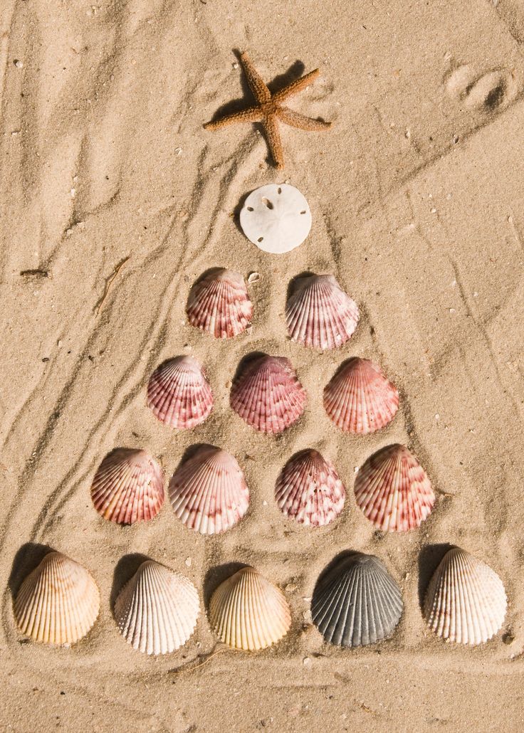 there is a christmas tree made out of seashells on the beach with a starfish