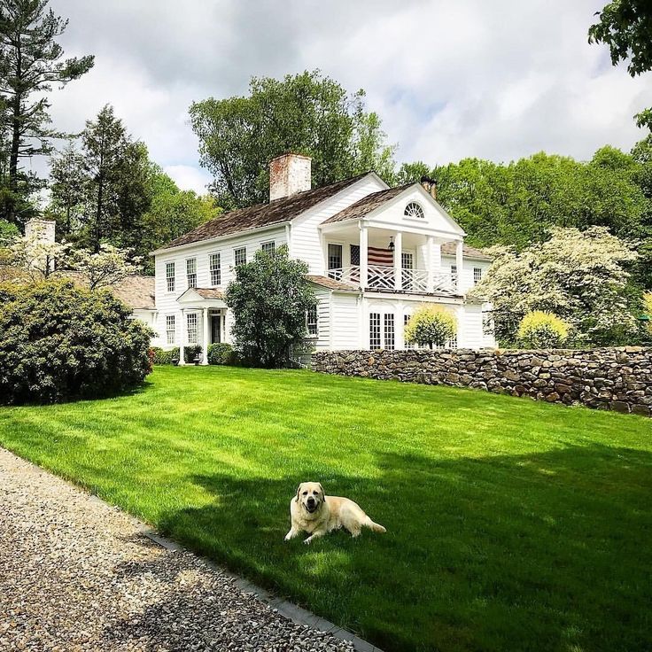 a large white house with a dog in the front yard