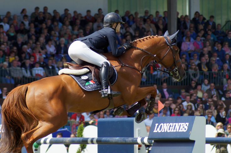 a person riding on the back of a brown horse in front of a crowd with spectators