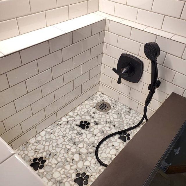 a shower head in the corner of a bathroom with dog paw prints on the floor