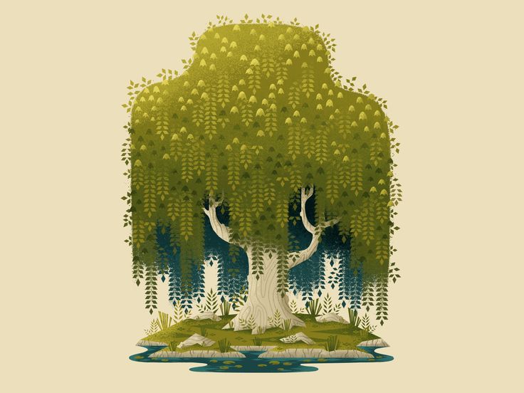 an illustration of a large tree in the middle of a lake with trees around it