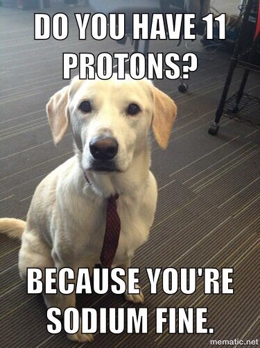 a dog sitting on the floor wearing a tie with caption saying do you have 11 protons? because you're soum fine