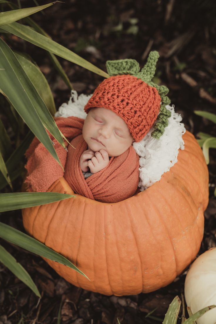 a newborn baby is sleeping in a pumpkin