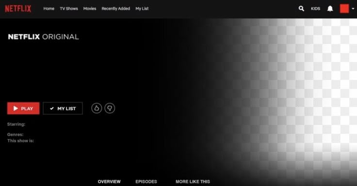 an image of the netflix original website