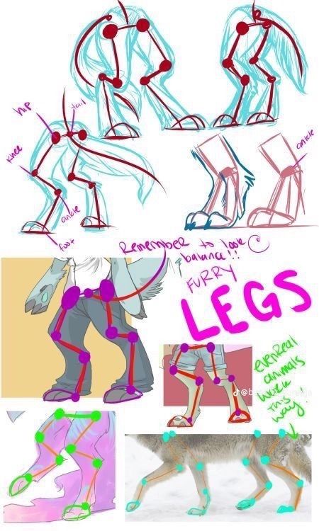 several different types of legs and feet are shown in this drawing lesson, including an image of