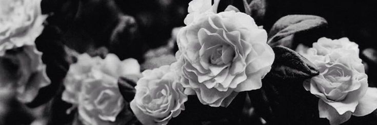 black and white photograph of flowers with leaves