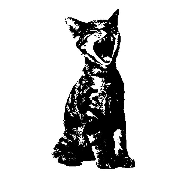 a black and white drawing of a cat