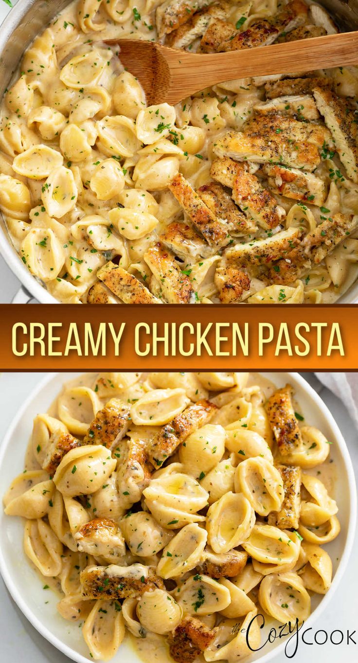 chicken with shell pasta in a creamy white sauce Resep Pasta, Easy Pasta Dinner, Creamy Chicken Pasta, Dinner Recipes For Family, Pasta Dinner Recipes, School Snack, Health Dinner Recipes, Chicken Dishes Recipes, Linguine