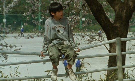 a young boy sitting on top of a wooden rail next to a tree filled with flowers