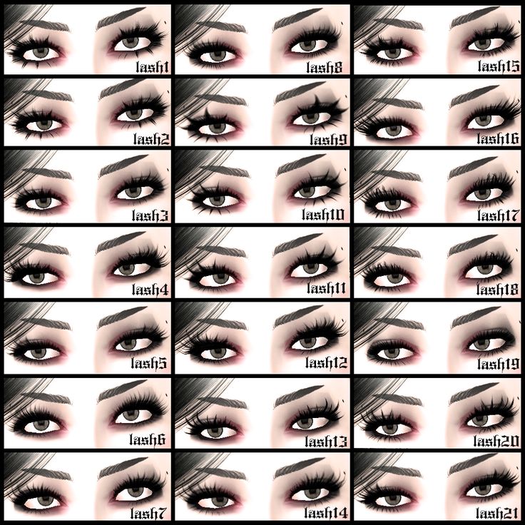 an image of different types of eyes