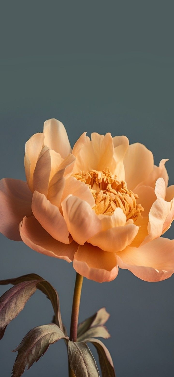 a large pink flower with green leaves