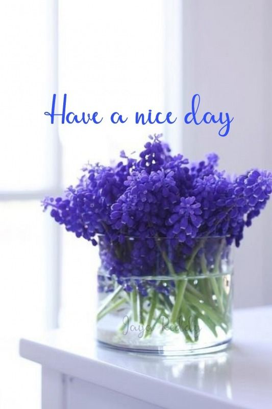 a vase filled with purple flowers sitting on top of a white table next to a window