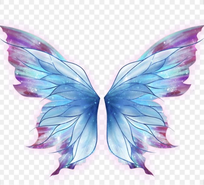 a blue and pink butterfly wings on a white background