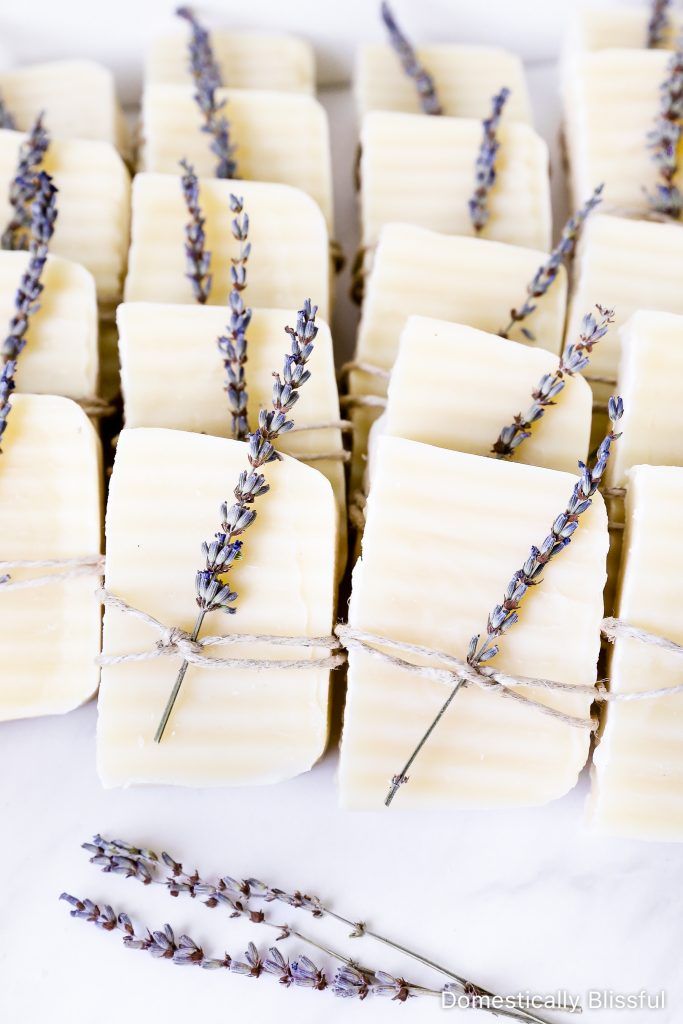 lavender bar soaps tied up with twine