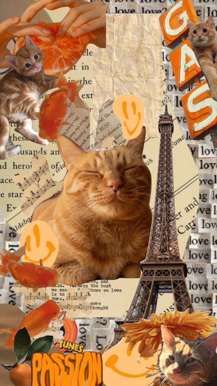 an orange cat laying in front of the eiffel tower surrounded by other cats