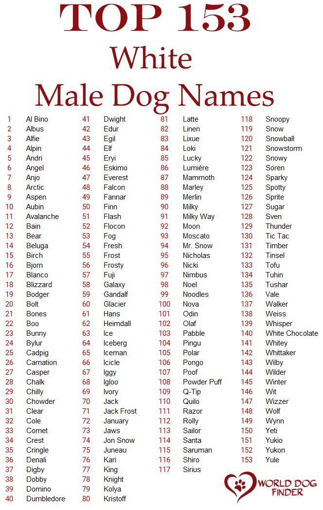 the top 13 white male dog names in red and white with black numbers on them