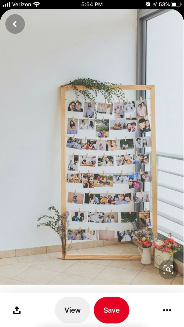 a photo collage is displayed on the wall next to a potted plant and window