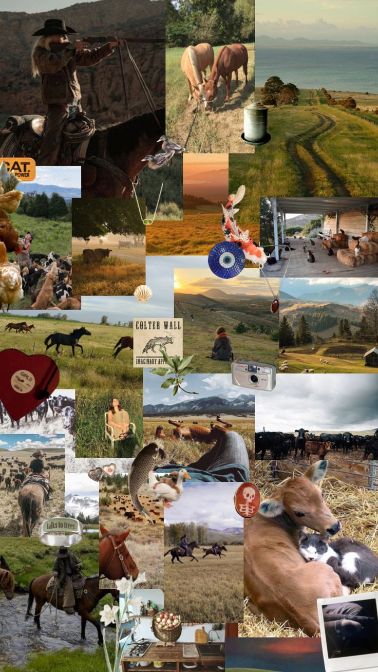 a collage of pictures with horses, cows and people in the background is shown