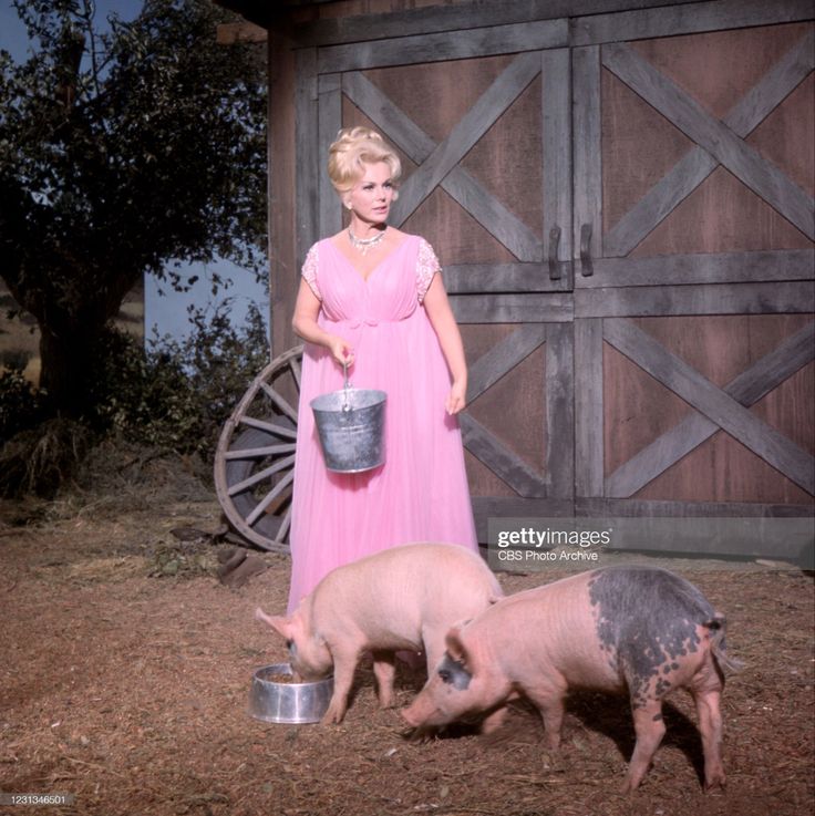 a woman in a pink dress standing next to two pigs