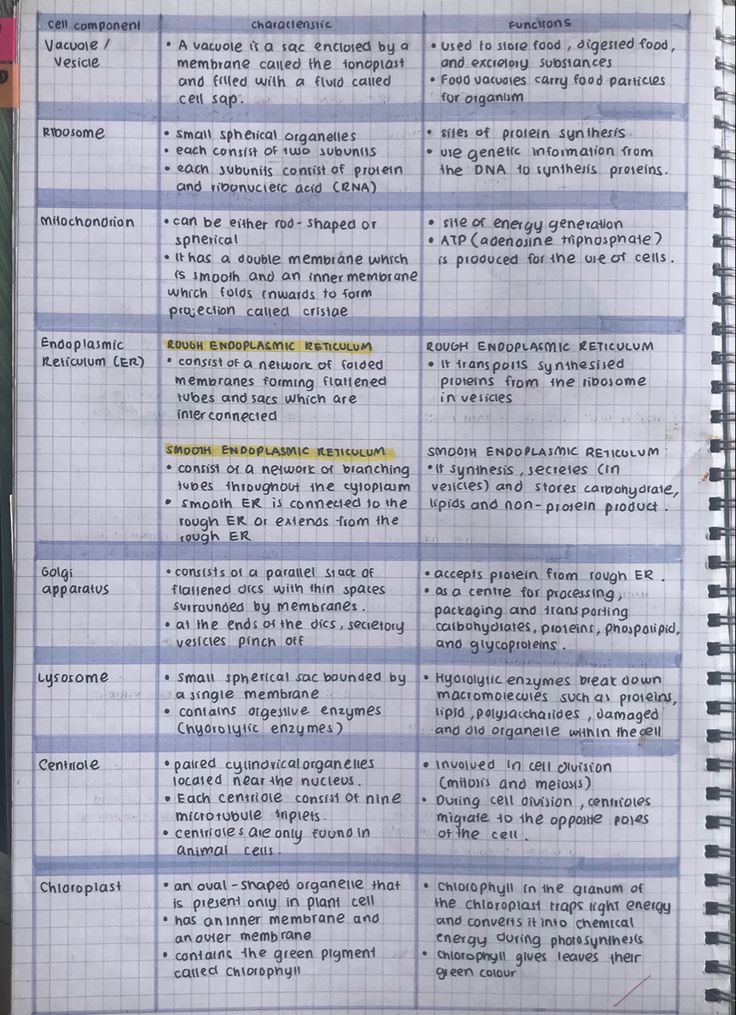 an open notebook with several different types of writing on it's pages, including the words and numbers