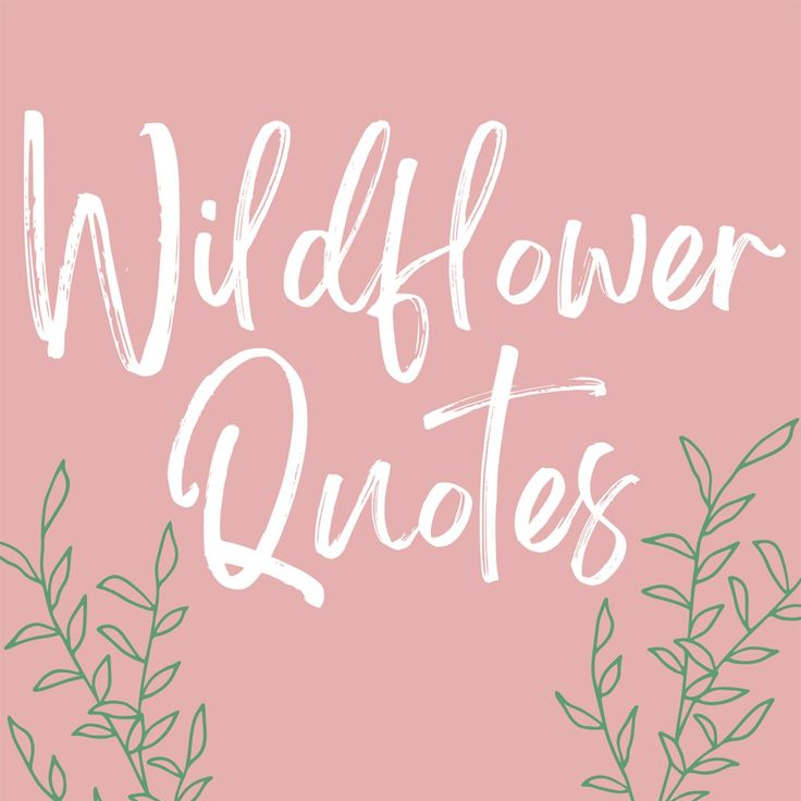 the words wildflower quotes written in white ink on a pink background with green leaves