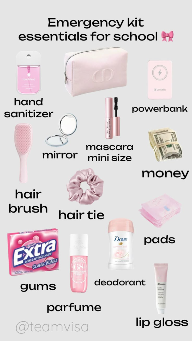 the contents of a woman's personal care kit are shown in this graphic diagram