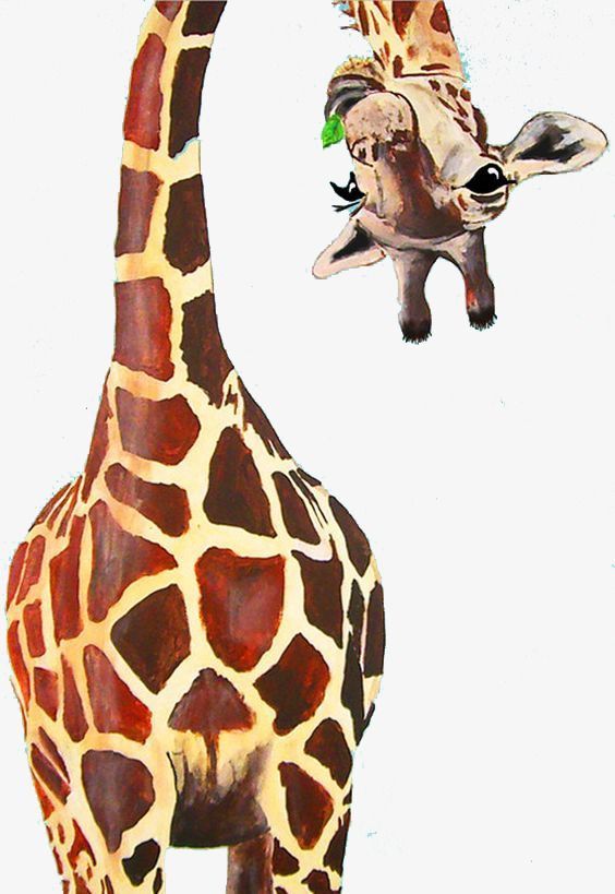 a giraffe standing next to a smaller giraffe on a white background