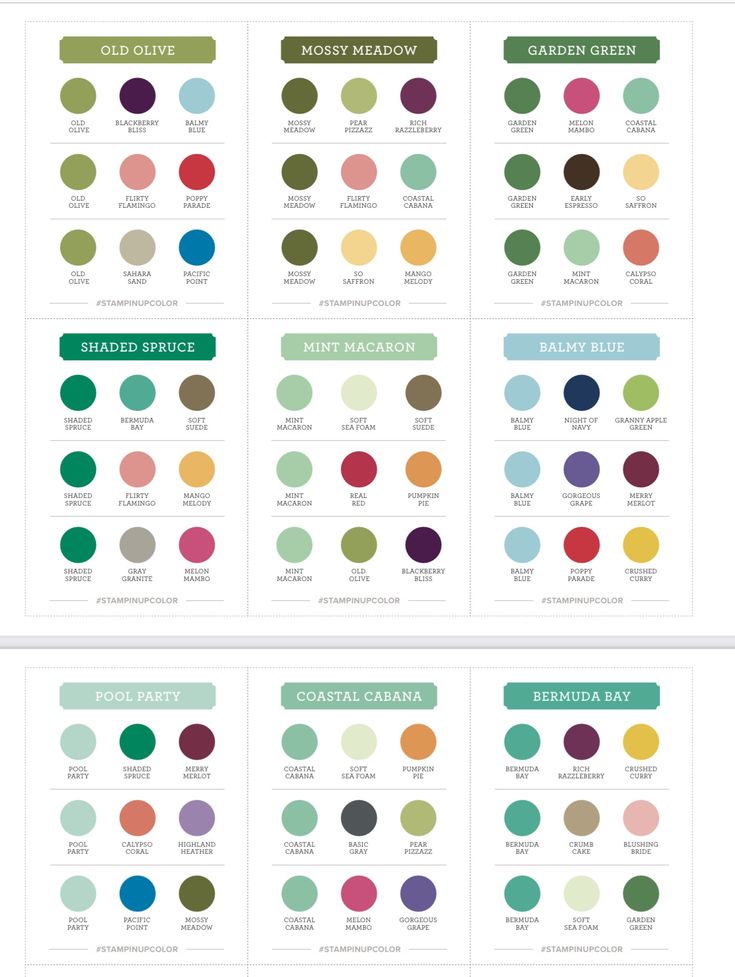 the color chart for different colors in each section of the page, which shows what they are