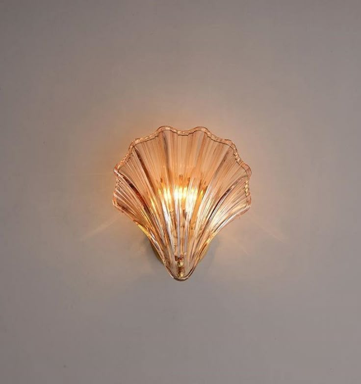 SHELL WALL LIGHT Brass Wall Lamp, Design Del Prodotto, Glass Light, Brass Wall, Wall Lamps, Glass Lighting, Edison Light Bulbs, Small Furniture, Home Lighting