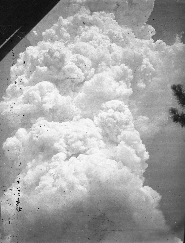 black and white photo of clouds in the sky above trees, taken from an airplane window