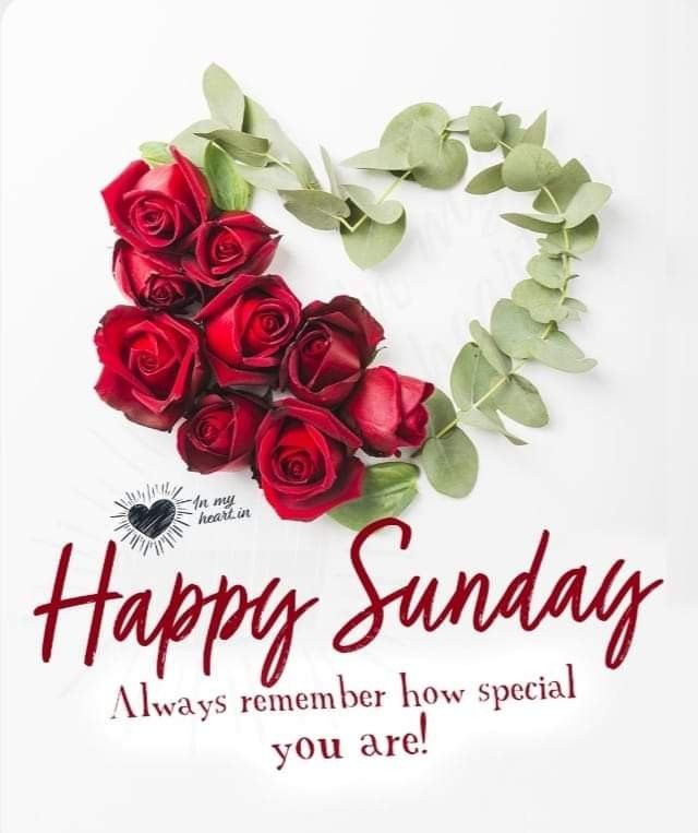 red roses arranged in the shape of a heart on a white background with text that reads, happy sunday always remember how special you are