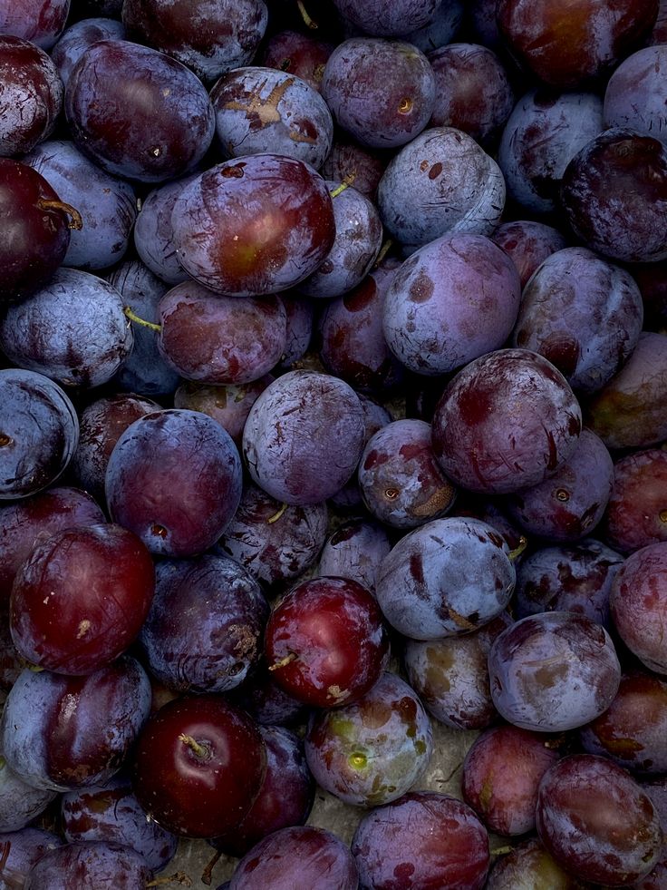 the plums are covered in ice and water