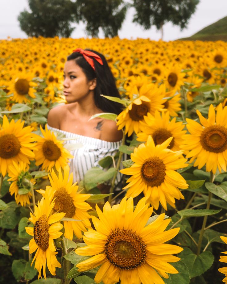 a woman standing in a field of sunflowers with her head turned to the side