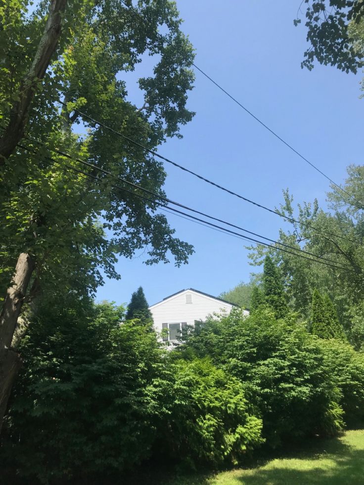 the back yard is surrounded by trees and bushes, with a white house in the distance