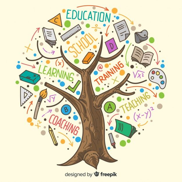 a tree with the words education written on it and various items around it in different colors