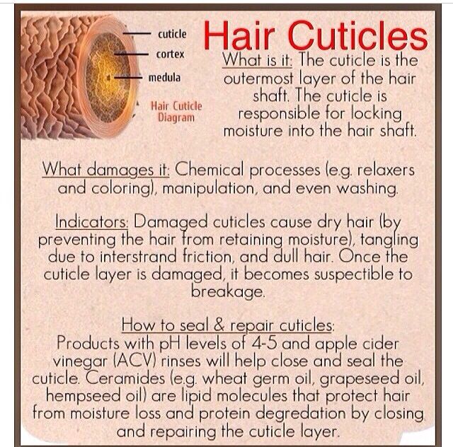 How to seal and repair hair cuticles Barber School, Hair Cuticle, Healthy Hair Tips, Black Hair Care, Hair Remedies, Natural Hair Tips, Hair Growth Tips, Natural Hair Journey, Relaxed Hair