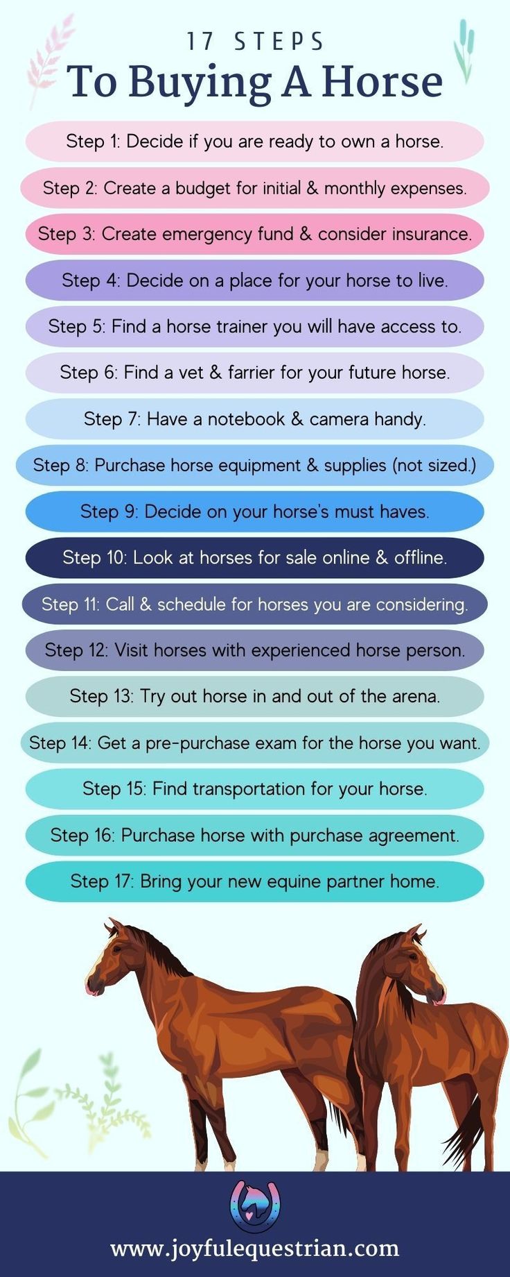 the steps to buying a horse are shown in this graphic above it's description