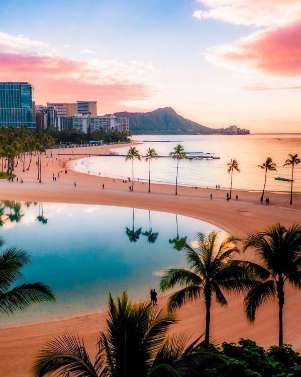 a beach with palm trees and buildings in the background