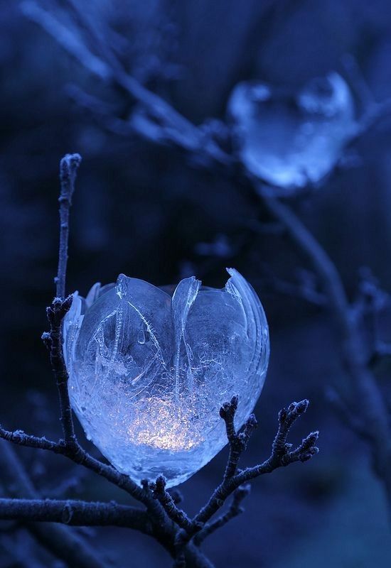 an ice sculpture on a tree branch in front of some branches with frosted leaves