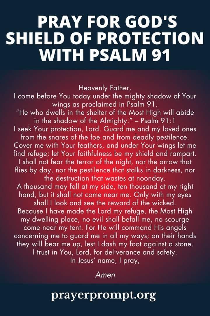 the prayer for god's shield of protection with palm 91