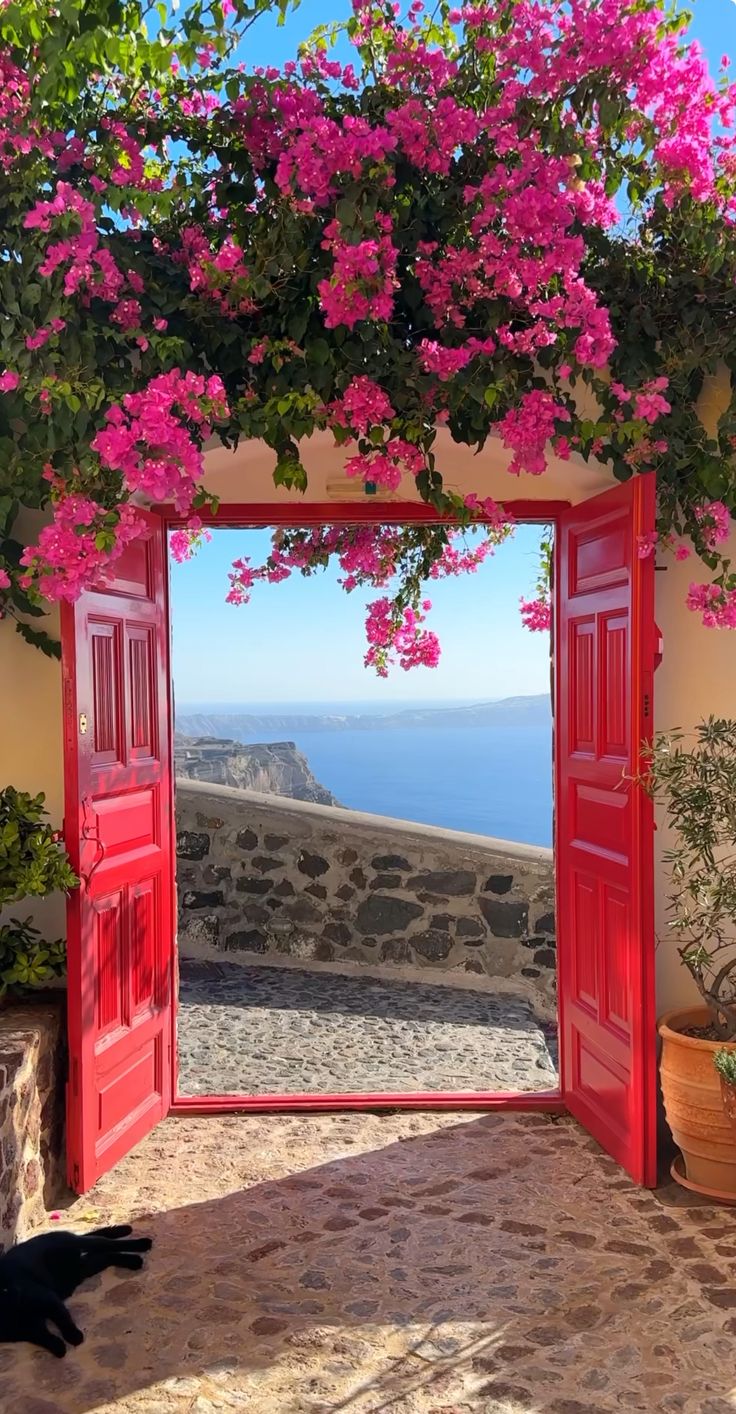 an open red door with pink flowers on it and a black cat in the doorway