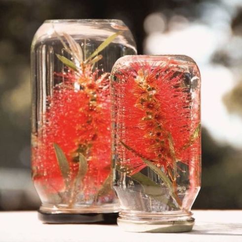 two glass vases with red flowers in them