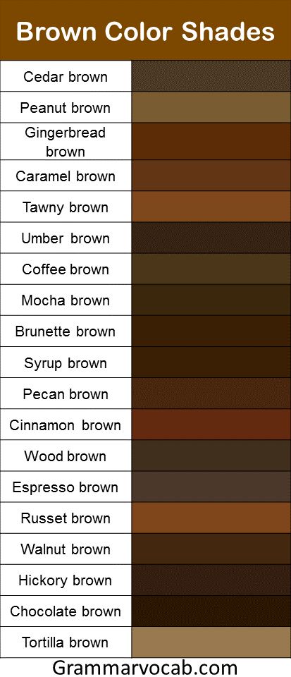 the color chart for brown shades in different colors and sizes, with text below it