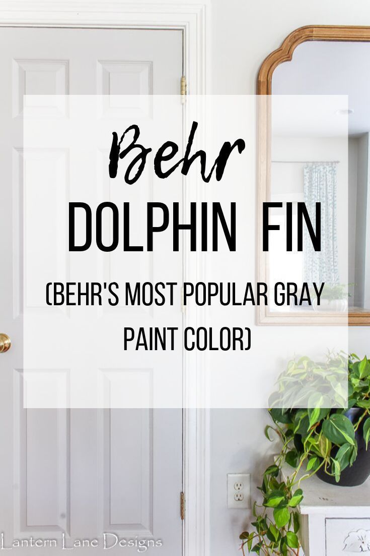 a white door with the words behr dolphin fin on it and a potted plant