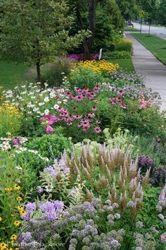 a bunch of flowers that are by the side of the road with trees in the background