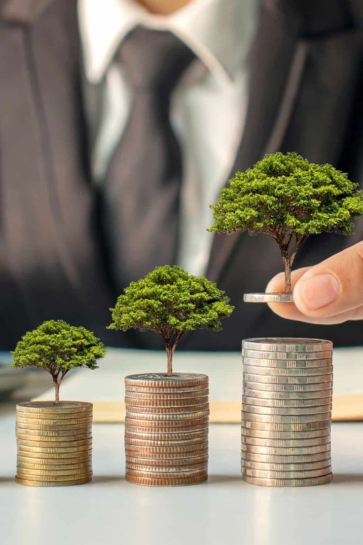 Business And Investment, Investing Aesthetic, Green Investment, Portfolio Investment, Carbon Credit, Saving Pictures, Investment Goals, Social Sustainability, Grow Money