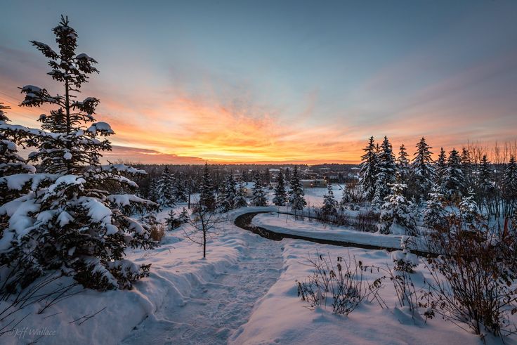 the sun is setting over a snowy landscape with trees and snow - covered ground in the foreground