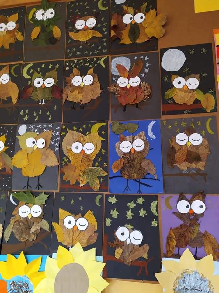 paper owls and sunflowers are arranged on the wall in this class project for kids